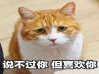 义乌市悻羡贸易商行