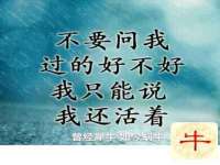 义乌市悻羡贸易商行