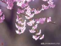 义乌市悻羡贸易商行