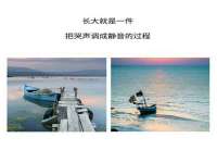 义乌市悻羡贸易商行