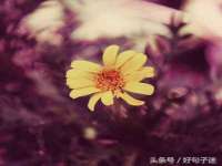 义乌市悻羡贸易商行
