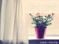 义乌市悻羡贸易商行