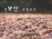 义乌市悻羡贸易商行