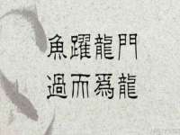 义乌市悻羡贸易商行