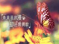 义乌市悻羡贸易商行
