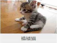义乌市悻羡贸易商行