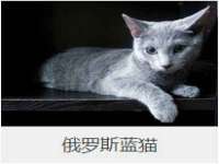义乌市悻羡贸易商行