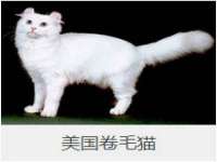 义乌市悻羡贸易商行