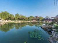 义乌市悻羡贸易商行