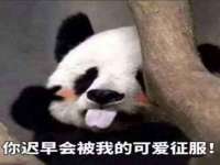 义乌市悻羡贸易商行