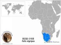 义乌市悻羡贸易商行