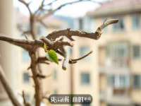 义乌市悻羡贸易商行