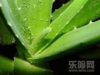 义乌市悻羡贸易商行