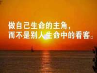 义乌市悻羡贸易商行