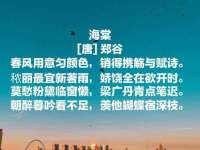 义乌市悻羡贸易商行