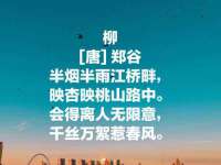义乌市悻羡贸易商行