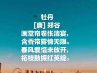 义乌市悻羡贸易商行