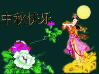 义乌市悻羡贸易商行