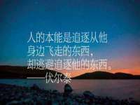 义乌市悻羡贸易商行