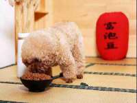 义乌市悻羡贸易商行