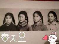 义乌市悻羡贸易商行