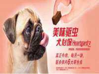 义乌市悻羡贸易商行