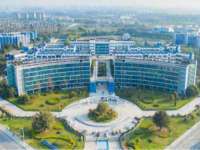 义乌市悻羡贸易商行
