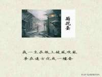 义乌市悻羡贸易商行