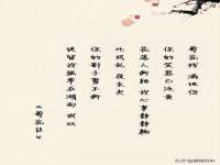 义乌市悻羡贸易商行