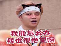义乌市悻羡贸易商行