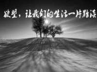 义乌市悻羡贸易商行