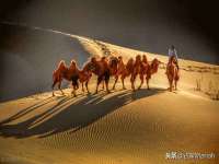 义乌市悻羡贸易商行