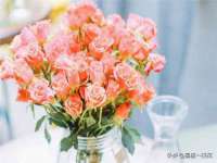 义乌市悻羡贸易商行