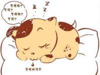义乌市悻羡贸易商行