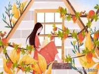 义乌市悻羡贸易商行