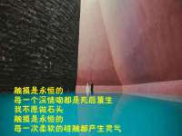 义乌市悻羡贸易商行