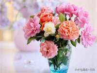 义乌市悻羡贸易商行