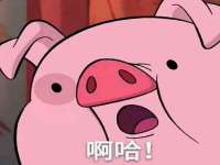 义乌市悻羡贸易商行