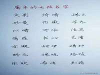 义乌市悻羡贸易商行