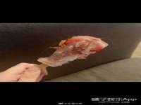 义乌市悻羡贸易商行